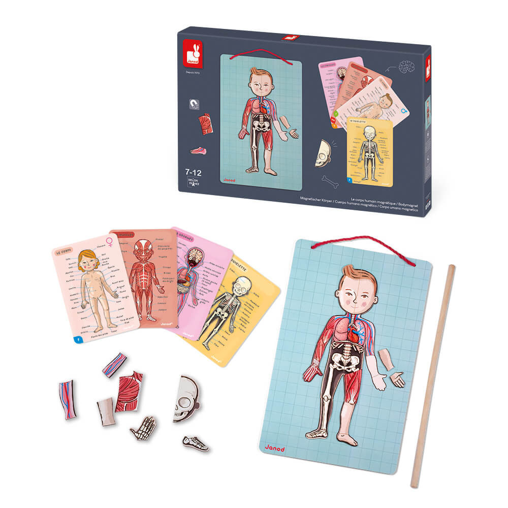 Ігровий магнітний набір Janod — Тіло людини