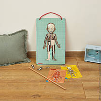 Ігровий магнітний набір Janod — Тіло людини, фото 2