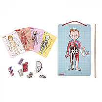 Ігровий магнітний набір Janod — Тіло людини, фото 3