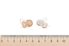 Світлячки-фокусники Fun Promotion Bright Bugz, фото 3