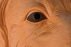 Іграшка-перчатка Same Toy X307UT — собака лабрадор, серія Animal Gloves, рухома щелепа та реалістичний вигляд, фото 3