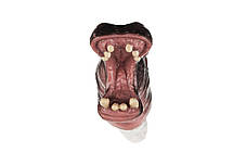 Ігровий набір Same Toy Пальчиковий театр Бегемот і Лев, 2 од., фото 3