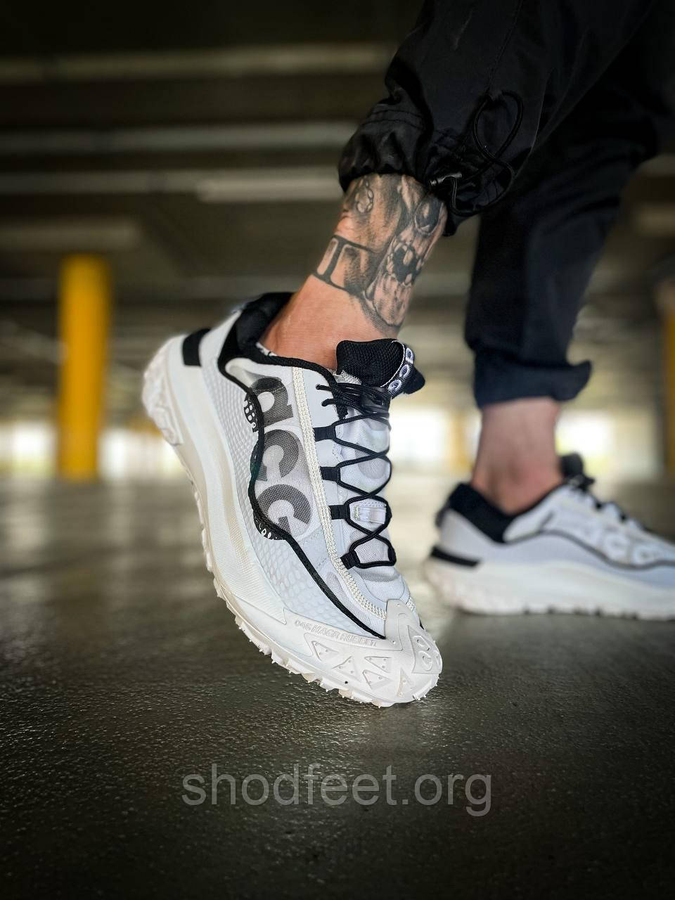 Кросівки Nike ACG Mountain Fly Low 2 «Iron Ore», фото 1