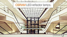 Світлодіодна лампа OSRAM LED PAR16 DIM 50 36 4,5W / 940 / 350Lm 230V GU10, фото 5