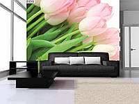 3д флизелиновые фотообои в спальню цветы 368x254 см Розовые тюльпаны (8-018V8)+клей