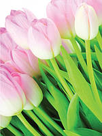 Дизайн зала 3д фото обои цветы 184x254 см Розовые тюльпаны (8-018P4A)+клей