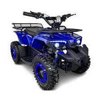 Квадроцикл акумуляторний FORTE ATV1000RB синій HLZ