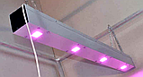 Лінійний фіто Led світильник Союз 6 для рослин із кулером 200W, фото 3