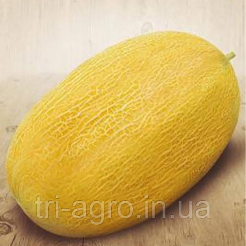 Довжина Алушта 10 г (НУ) (шт.)