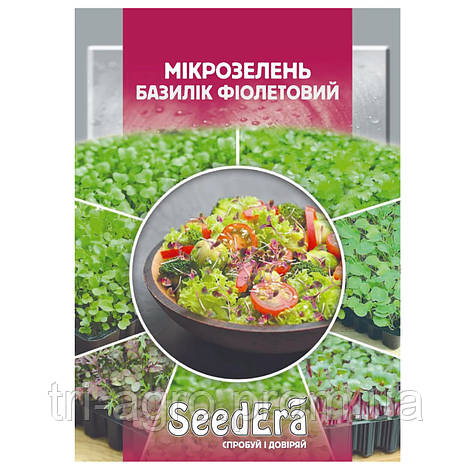 Мікрозелень Базилік фіолетовий 10г (SeedEra) (шт), фото 2