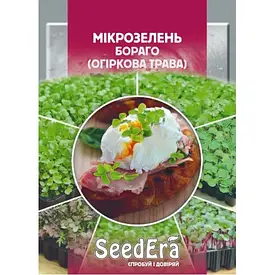 Мікрозелень  Огіркова трава 10 г (SeedEra) (шт.)