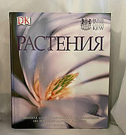 Растения новейшая иллюстрированная энциклопедия по зеленому царству планеты