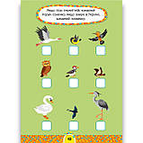 Завдання 5-хвилинки Світ навколо 6+ Авт: Сіліч С. Вид: УЛА, фото 3