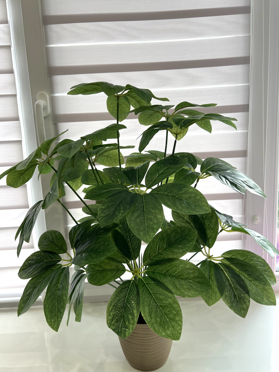 Штучний кущ — шефлера ( Premium, латекс, 75 см), фото 1