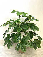 Штучний кущ — шефлера ( Premium, латекс, 75 см), фото 7