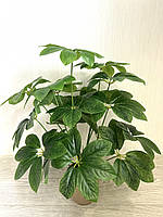 Штучний кущ — шефлера ( Premium, латекс, 75 см), фото 8