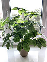 Штучний кущ — шефлера ( Premium, латекс, 75 см), фото 6