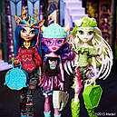 Лялька Монстр Хай Кьерсти Троллсон Бренд-Бу студенти Monster High Kjersti Trollsøn CJC62, фото 9