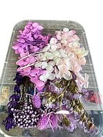 Набір сухих квітів для декору сухоцвіти  (9)