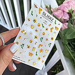 Слайдер-дизайн SLIDIZ 157, фото 2