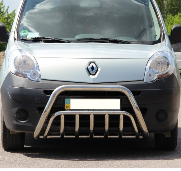 Кенгурник на Renault Kangoo (c 2008---) Рено Кенго PRS, фото 1