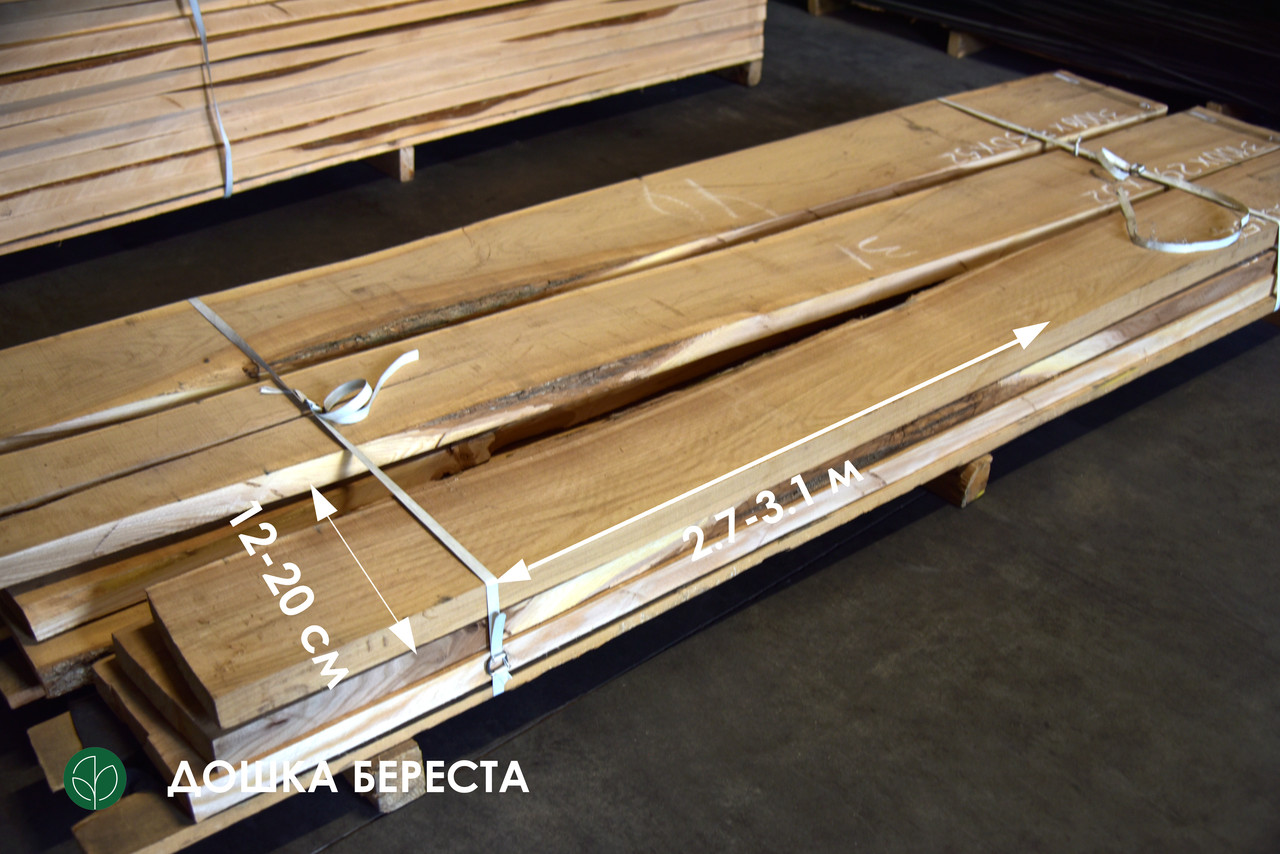 Дошка необрізна берест (1 ґатунок), фото 1