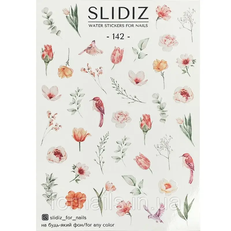 Слайдер-дизайн SLIDIZ 142