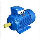 Електродвигун 30 кВт 1000 об/хв АІР200L6, фото 3