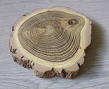 Декоративний спіл дерева шліфований d 14х14см., фото 3