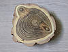 Декоративний спіл дерева шліфований d 14х14см., фото 2