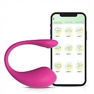 Подвійний вібростимулятор керований Take Over-The Insider Rose, фото 2