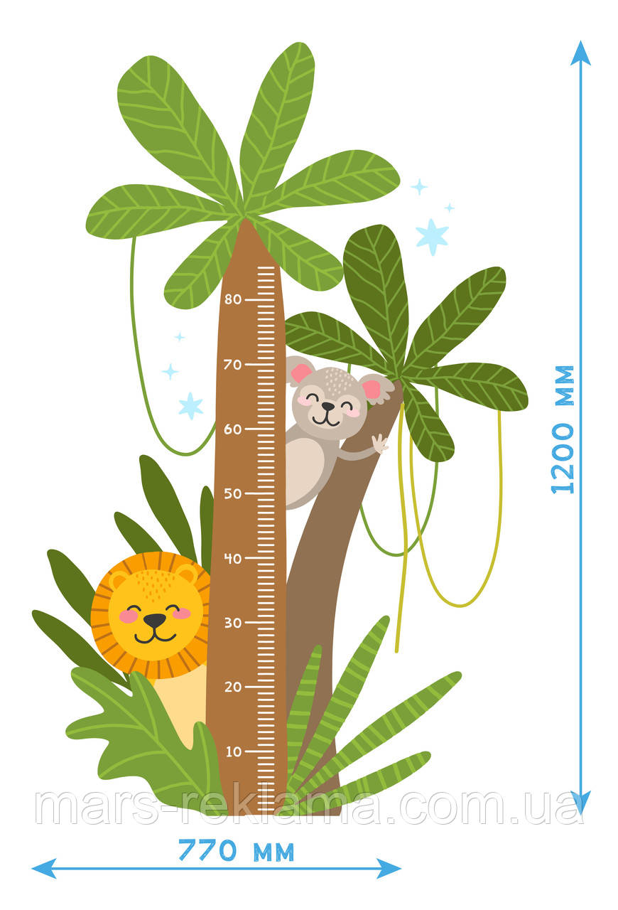 Ростомір Мадагаскар 1
