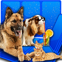 Охолоджуючий килимок для собак і кішок XXXL (Польща)