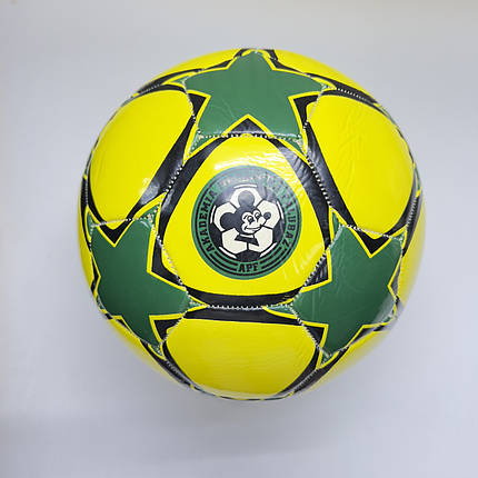 М'яч футбольний Akademia Pilkarska (PRACTIC) (Size 3), фото 2