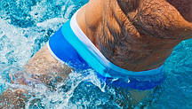 Плавки на літо AussieBum Blue Lagoon 125 M Блакитний