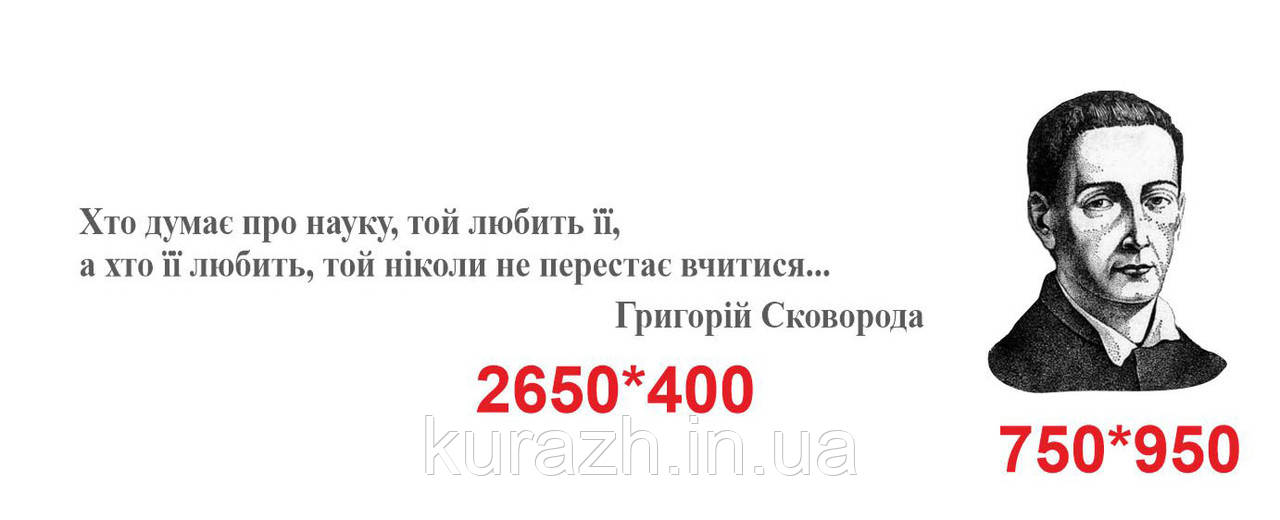 Вінілова наклейка для оформлення школи на стіни класу