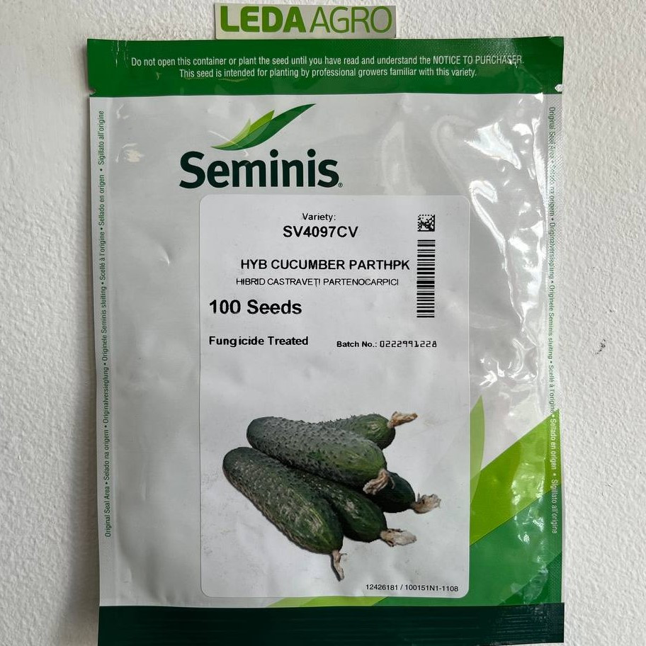 Огірок-корнішон СВ 4097 F1 100 шт (Seminis)