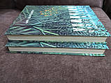 Сучасна ботаніка в 2-х томах, фото 2