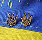 Пусети Герб України З Золота, фото 5
