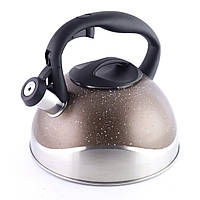 Чайник зі свистком із нержавіючої сталі Benson 2,8 л