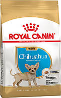 Корм сухий Royal Canin для цуценят породи Чіхуахуа Chihuahua PUPPY 500 g