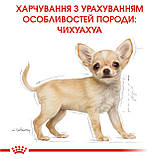 Корм сухий Royal Canin для цуценят породи Чіхуахуа Chihuahua PUPPY 500 g, фото 10