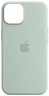 Силиконовый чехол iPhone 14 Apple Silicone Case with MagSafe (анимация) - Succulent