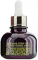 Ампульная сыворотка с фито-стволовыми клетками винограда FarmStay Grape Stem Cell Whitening Ampule (841712)