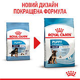 Корм сухий Royal Canin для цуценят великих порід MAXI PUPPY 1 kg, фото 7