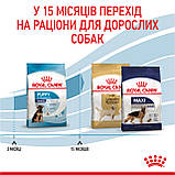 Корм сухий Royal Canin для цуценят великих порід MAXI PUPPY 1 kg, фото 8