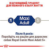 Корм сухий Royal Canin для дорослих собак великих порід MAXI Adult 4 kg, фото 3