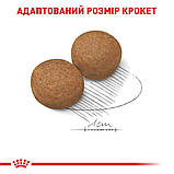 Корм сухий Royal Canin для дорослих собак великих порід MAXI Adult 4 kg, фото 5