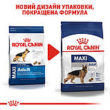 Корм сухий Royal Canin для дорослих собак великих порід MAXI Adult 4 kg, фото 8