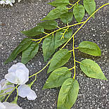 Штучна гілка Гліцинія ампельниая Білая 85 см силікон Люкс ( за 12 шт ), фото 5